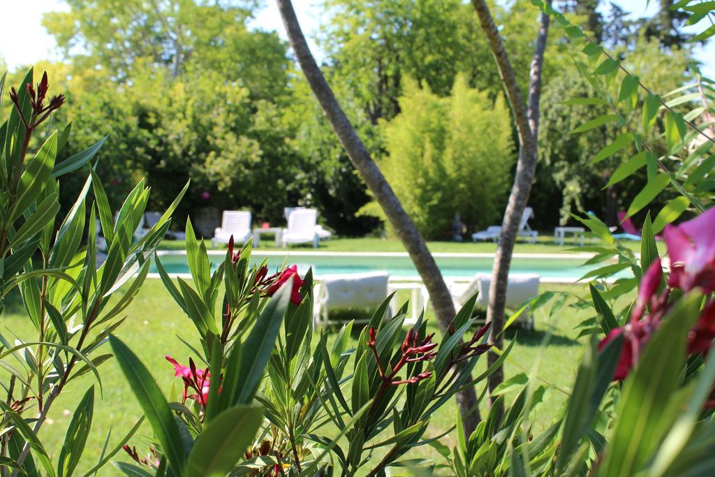 L'Islo Bamboo Apartment Saumane-de-Vaucluse Luaran gambar
